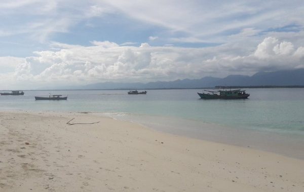 Pulau Pagai Utara, Salah Satu Daftar Pulau Indonesia Wajib di Kunjungi